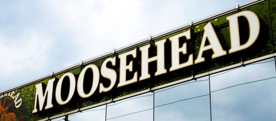 banner_07